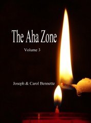 The Aha Zone - Volume 3