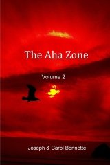 The Aha Zone